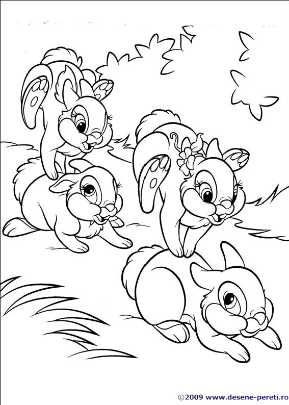 disney iepurasi desene colorat